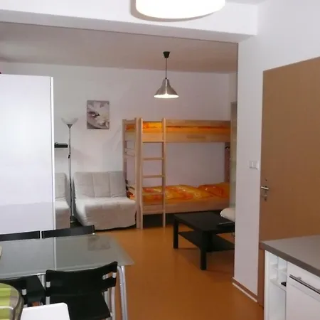 Apartment Dalibor Ii C. 305 *