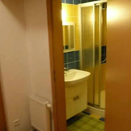 Dalibor Ii C. 305 Špindlerŭv Mlýn