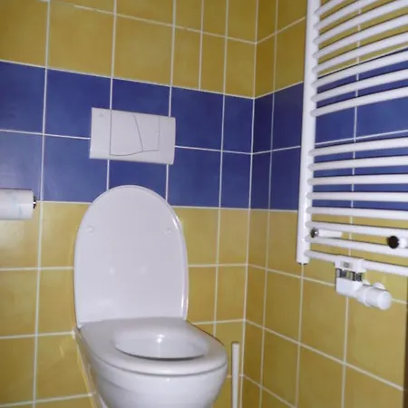 Dalibor Ii C. 305 Špindlerŭv Mlýn