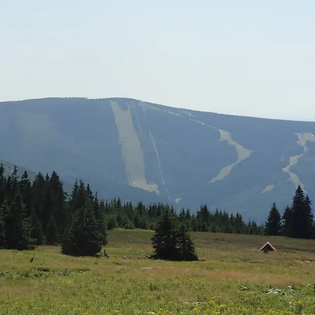 Dalibor Ii C. 305 Špindlerŭv Mlýn