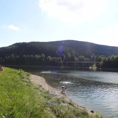Dalibor Ii č. 305 Špindlerŭv Mlýn