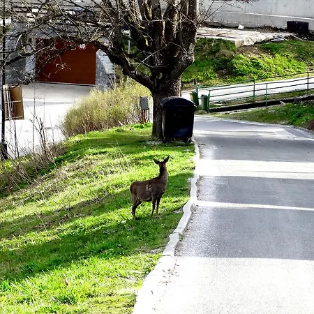 Dalibor Ii C. 305 Appartement *