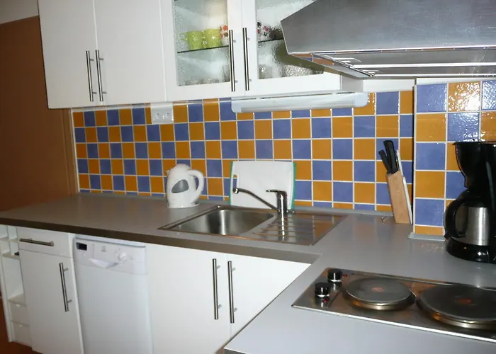 Dalibor Ii č. 305 Špindlerŭv Mlýn