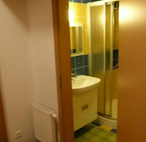 Dalibor Ii č. 305 Špindlerŭv Mlýn