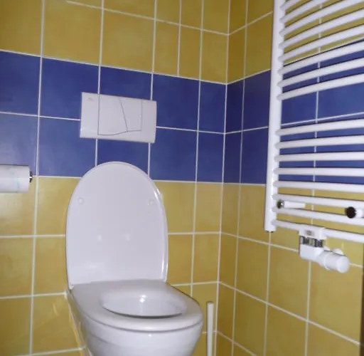 Dalibor Ii č. 305 Špindlerŭv Mlýn