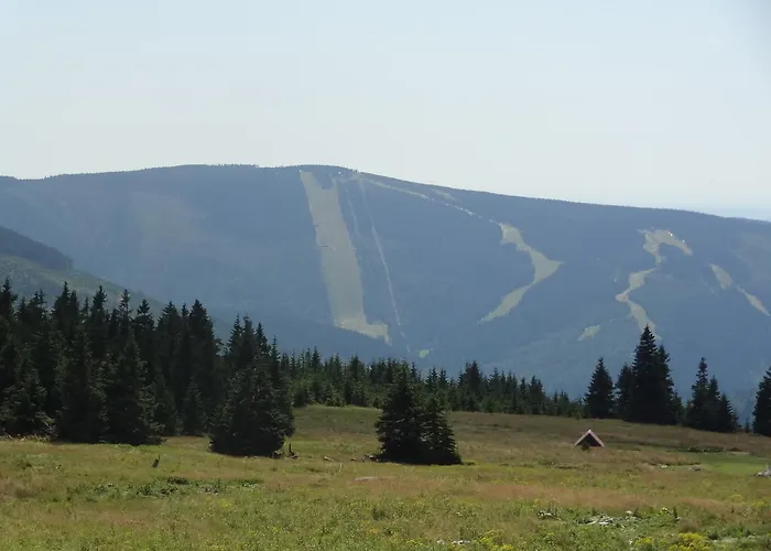 Dalibor Ii č. 305 Špindlerŭv Mlýn