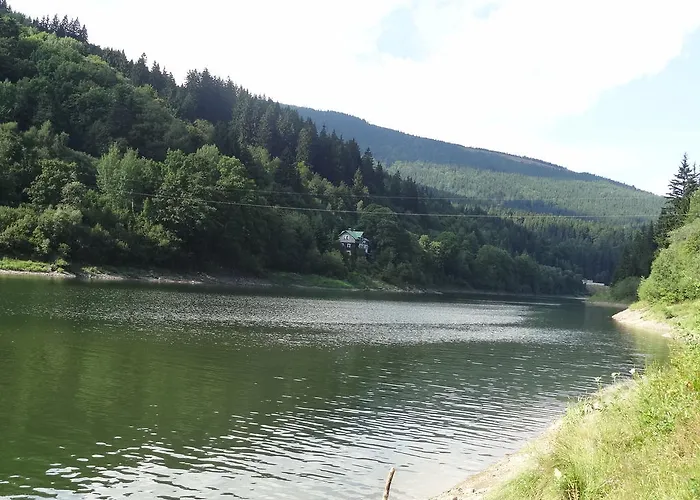 Dalibor Ii č. 305 Špindlerŭv Mlýn