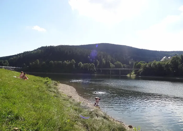 Dalibor Ii č. 305 Špindlerŭv Mlýn