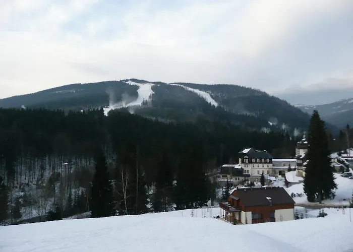 Apartmán Dalibor Ii č. 305 *